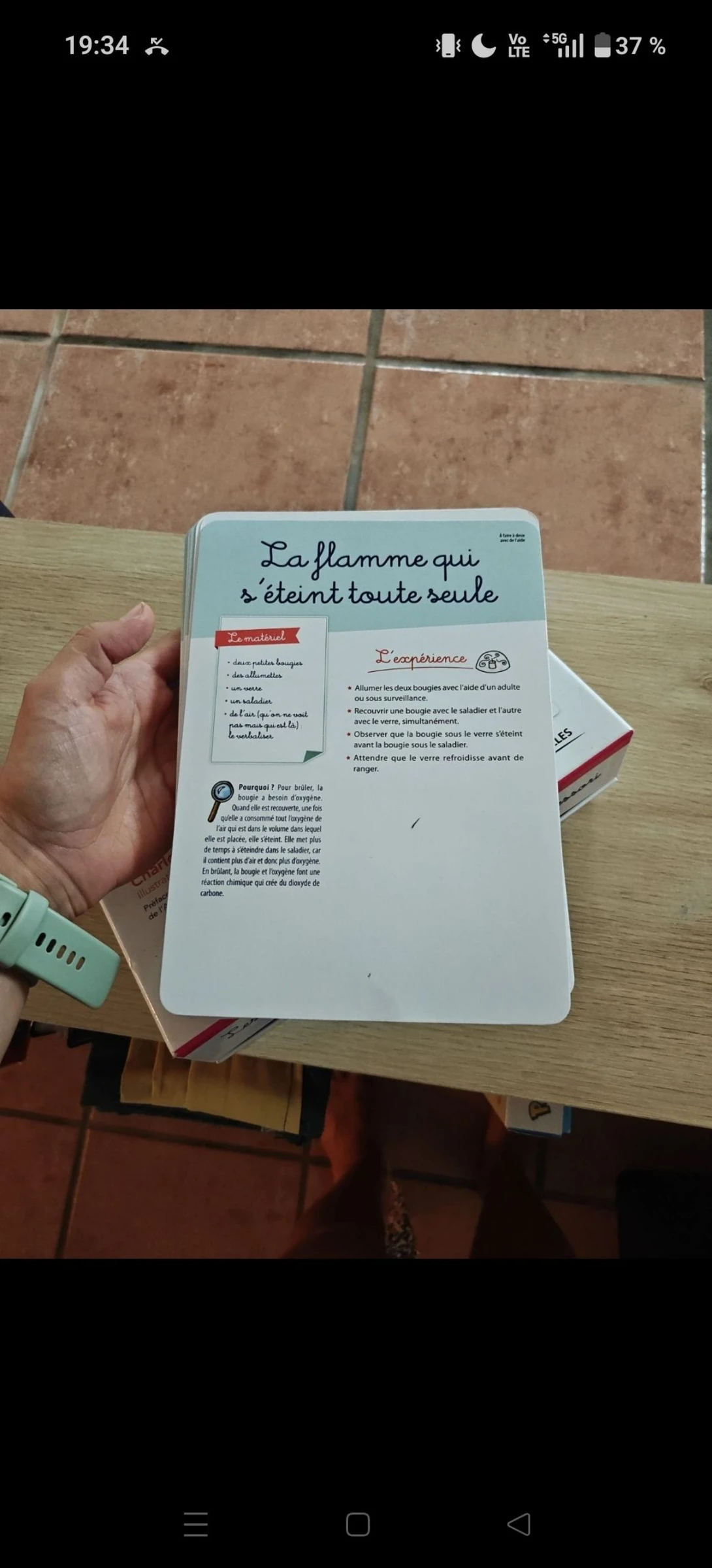 Experiência Montessori – photo 4